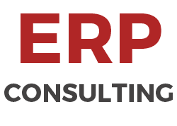 conseil en ERP qu'est-ce que le conseil en erp