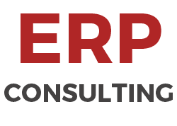 what-is-erp-consulting