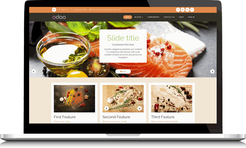 Odoo Website Apps overview