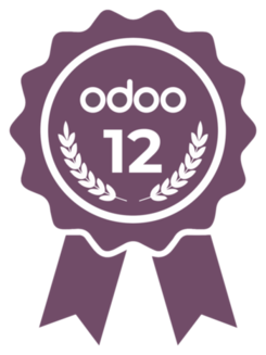 odoo-12-partner-certified