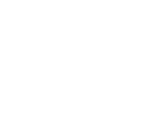 netsuite-logo-white