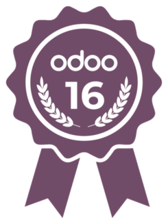 odoo-13-partner-certified