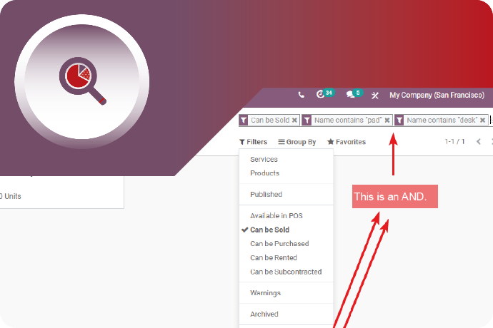Odoo-v17-customized-search
