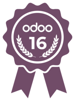 Odoo-16-certified-partner