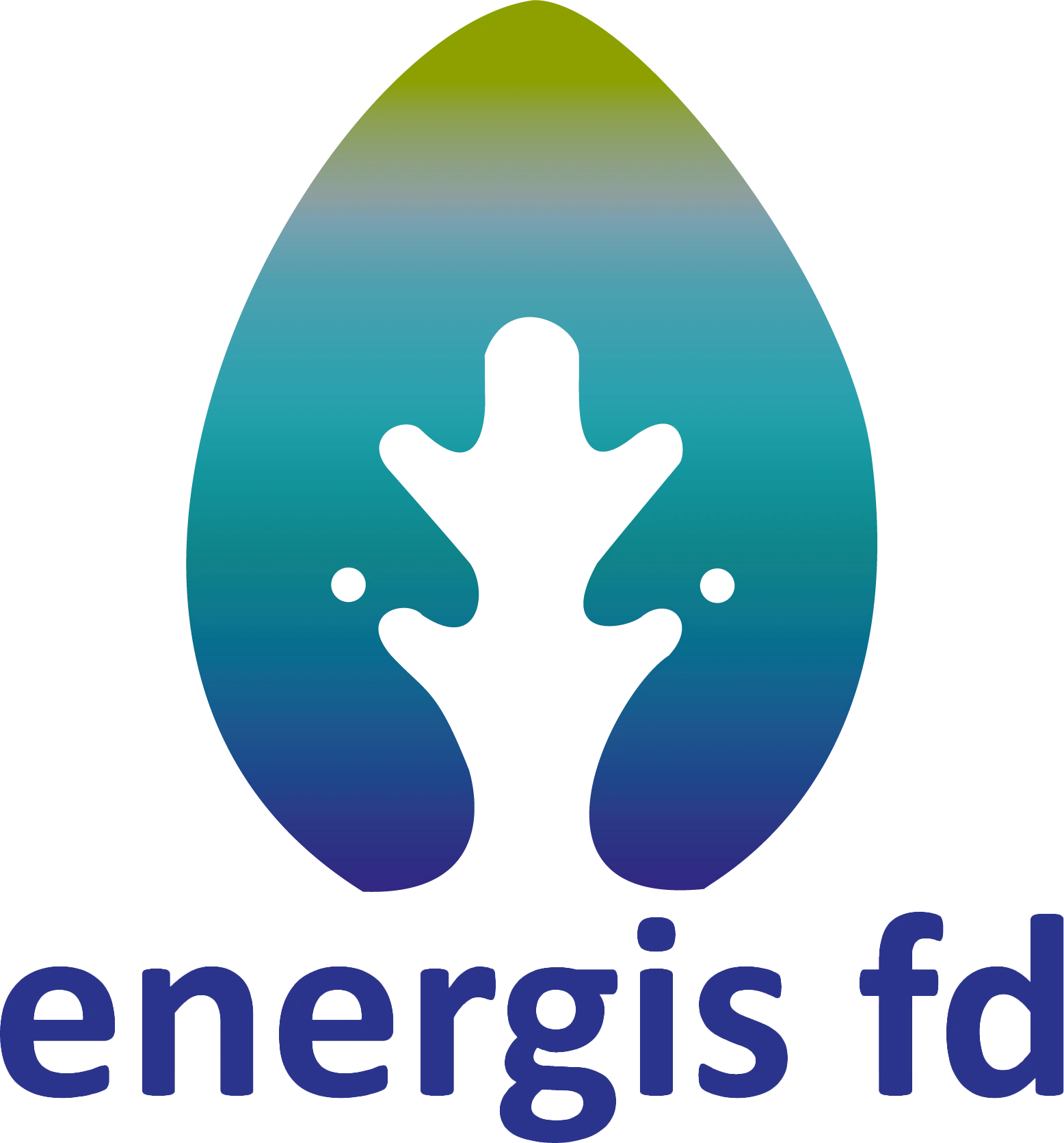 ENERGIS FD