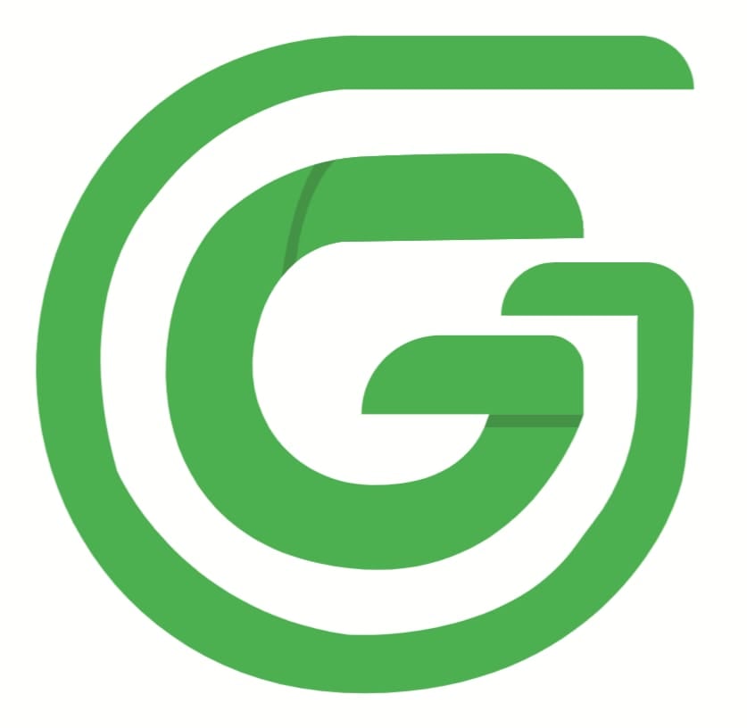 2G International logo